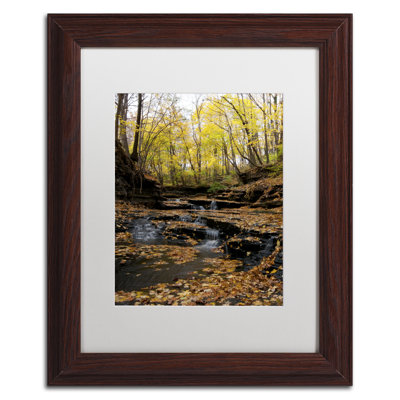 by Kurt Shaffer Print