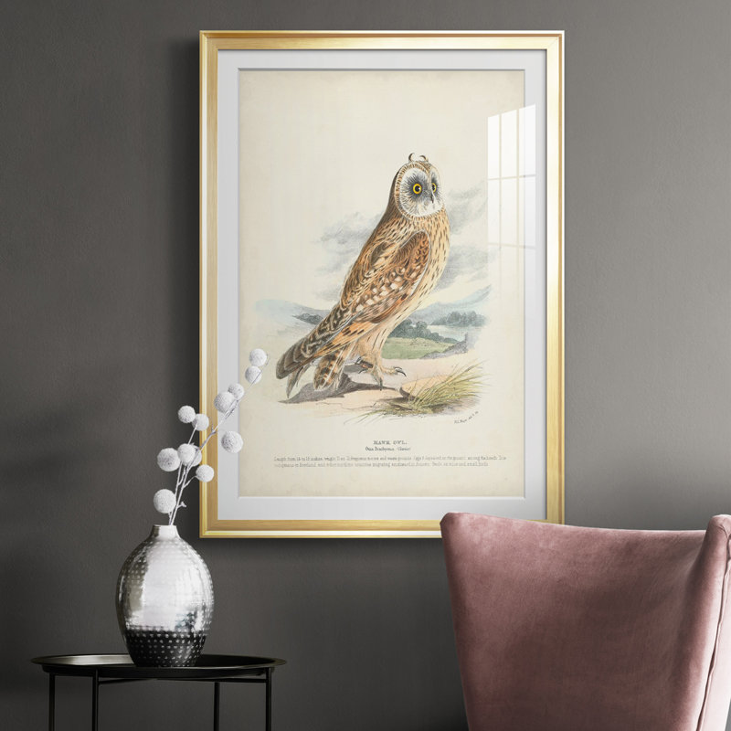 Hawk Owl - reproduction de cadre photo, Or, H 42,5 po x l 30,5 po x P 1 po