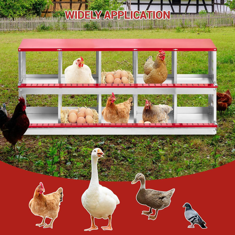 Boîte de nidification pour poulets, boîte de nidification à 10 compartiments, ensemble de poulailler à trous larges avec trous ventilés Easy Egg Collection