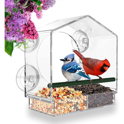 Suhayr Wall Tray Bird Feeder