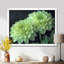 «Green Monochrom Mums Flowers Bouquet I», art mural «Mums»-1504830938-1504830932