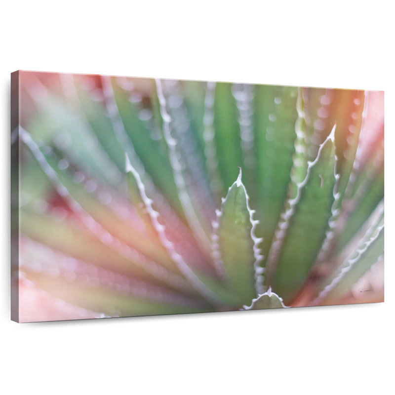 Harnek Dream Desert II, H 20 po x l 30 po
