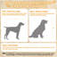 Mobilier de caisse en mélamine pour chien-117279664-117279667