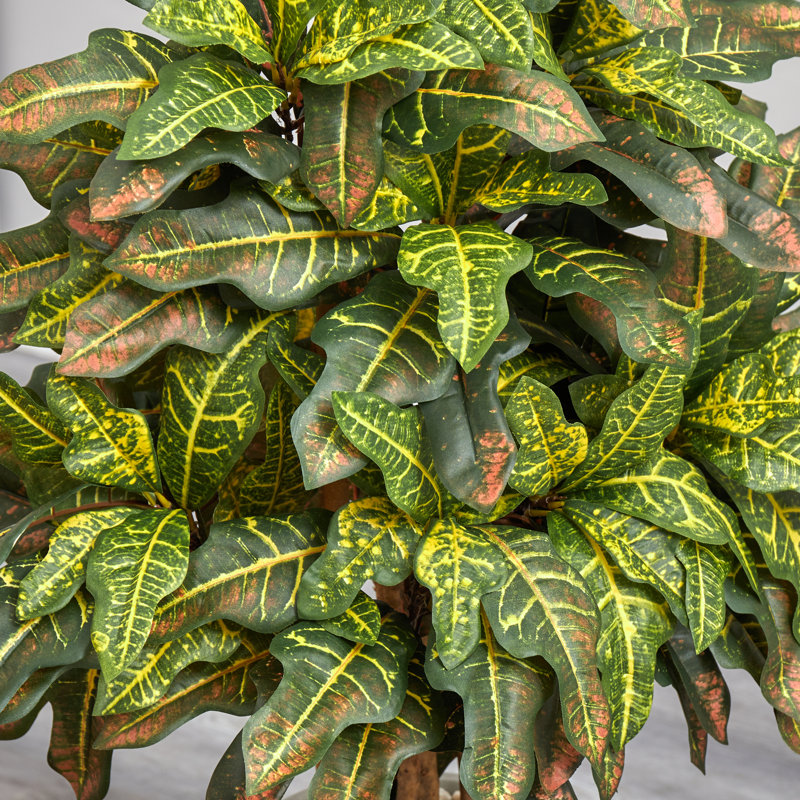 42'' Faux Croton Plant in Ceramic Planter