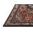 Oriental Indoor Rug-1921164966