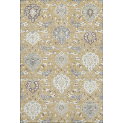 Premium Machine Washable Colmenero AMF1026 Damask Rug