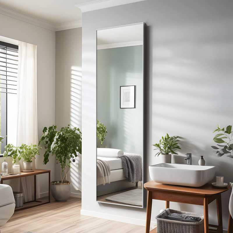 Miroir suspendu Kinkaid, 71 po x 24 po, Argent