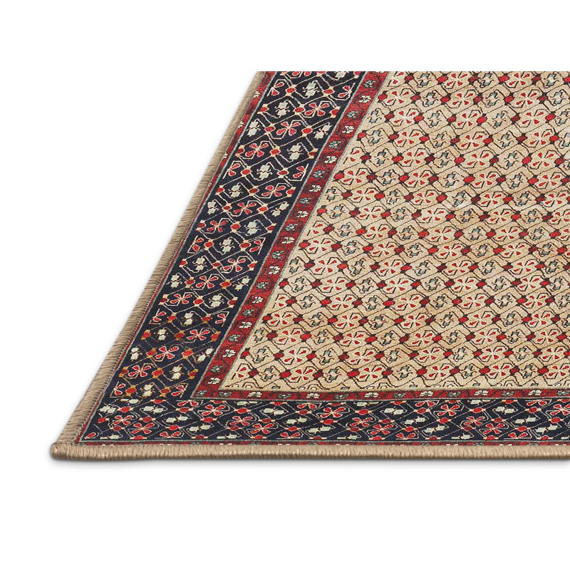 Cobus Oriental Indoor Rug, Rectangle 2' x 4'