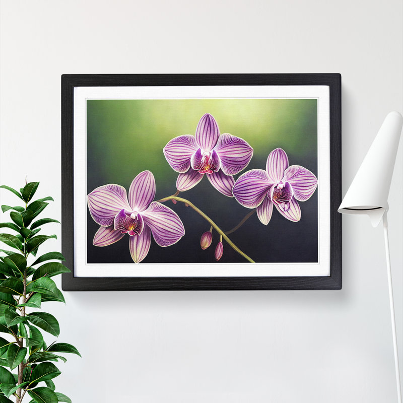 XH1022-8707X Supreme Orchid Flowers - Single Picture Frame Print, 46cm H x 64cm W x 2cm D, Black