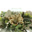 Centre de table Desloge Magnolia