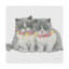 «Cutie Kitties» par Emily Adams, reproduction sur toile-1945778873