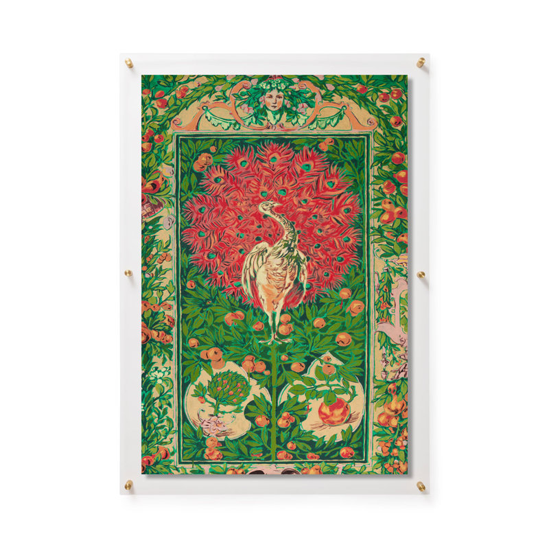 Paon par Bachman + Petrie, H 28 po x l 40 po, Impression encadrée sans passe-partout