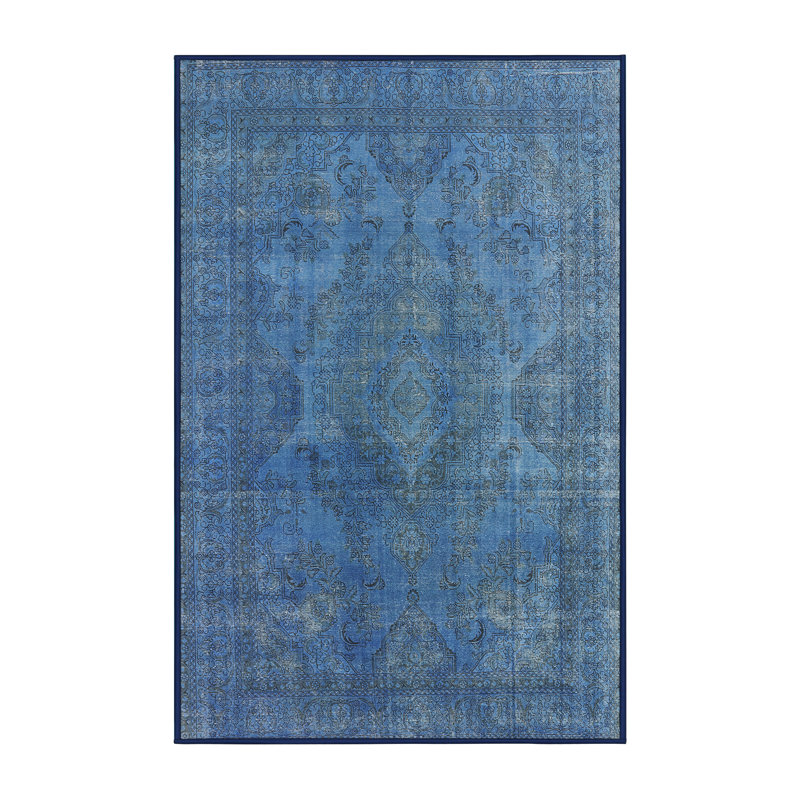 Nathanson Oriental Indoor Rug, Rectangle 4' x 6'