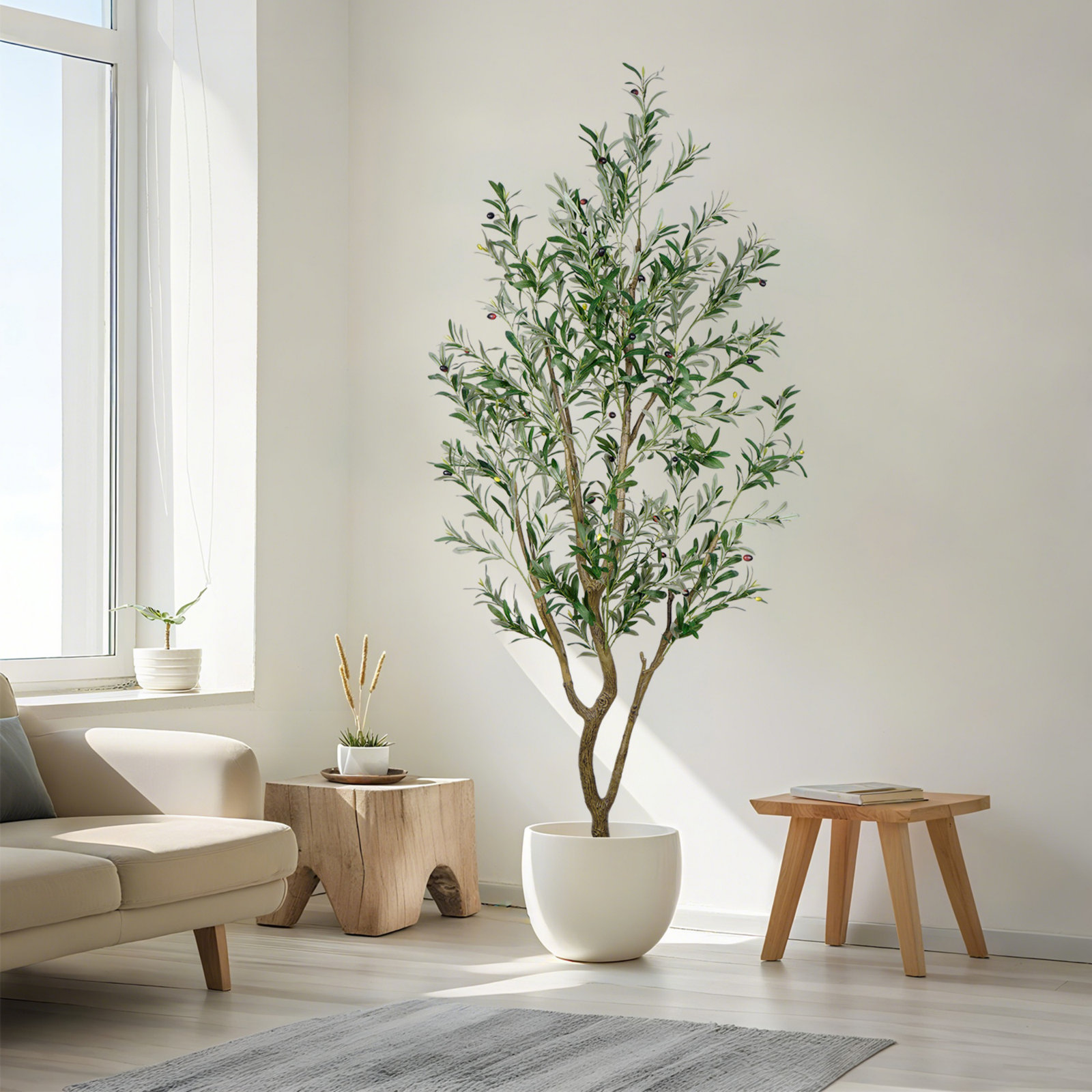 Olive Tree, 84.65" H x 39.7" W x 39.7" D