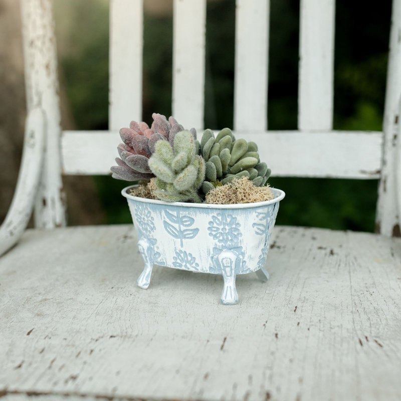 August Grove® Floral Bathtub Soap Dish Planter Blue Metal