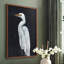 Calm Great Egret I, reproduction encadrée - bois massif-71950699-71950698