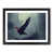 Black Framed selected