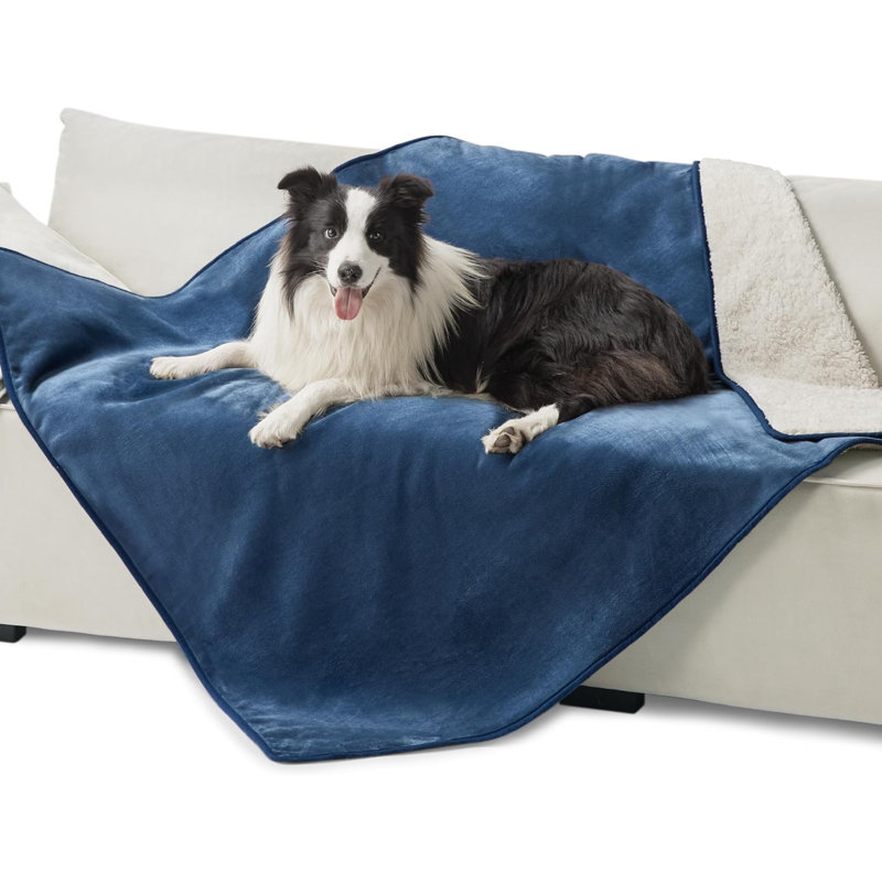 Flannel Pet Blanket, Blue, 50" x 60"