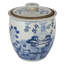 Porcelain Ginger Jar