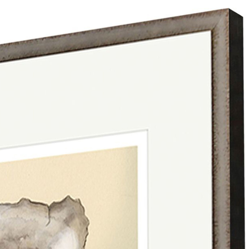 Sepia Oysters II Print by Willett Paragon