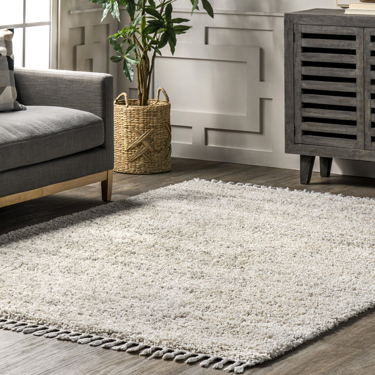 Olland Modern Light Gray Area Rug 