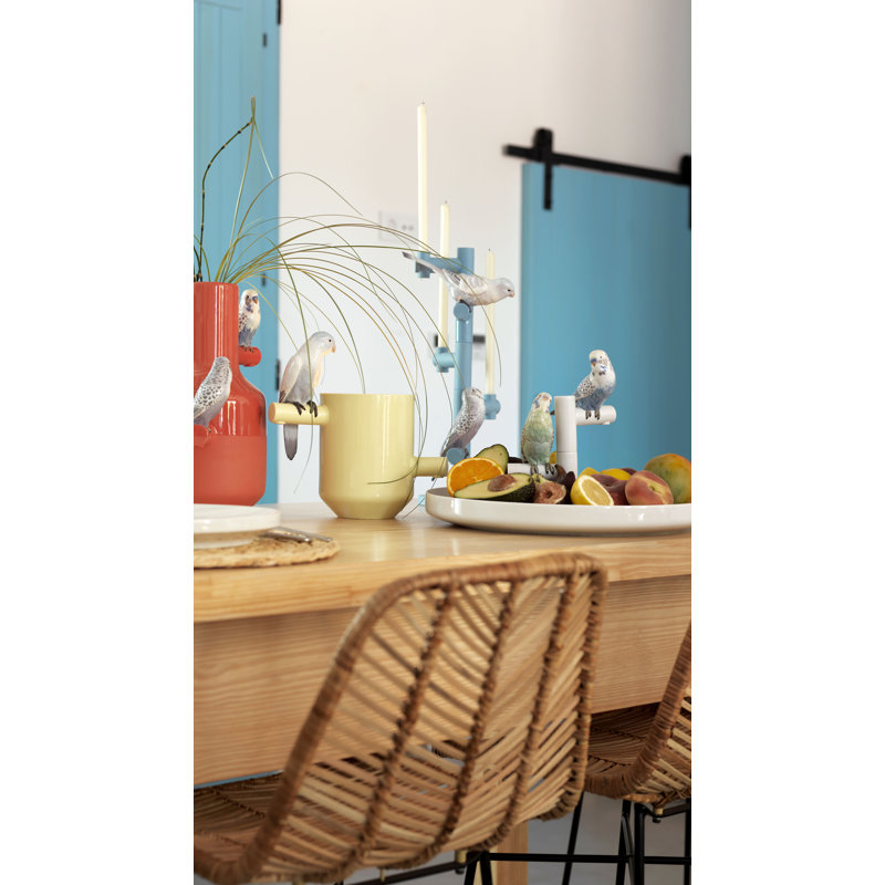 The Parrot Party Porcelain Contemporary Decorative Plate in White