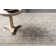 Cernobbio Viscose Floral Indoor Rug