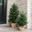 Artificial Spruce Christmas Tree-2125606633