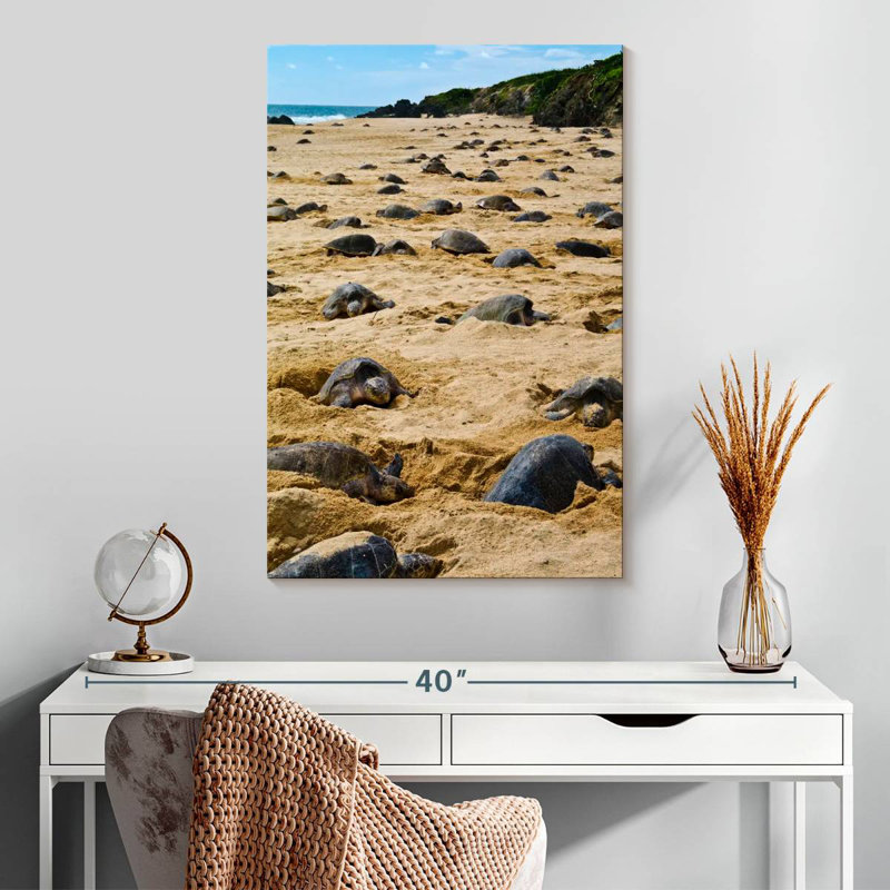 Tortues nicheuses Brampt, H 30 po x l 20 po