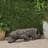 LEOPARD LIGHTWEIGHT CONCRETE BENCH