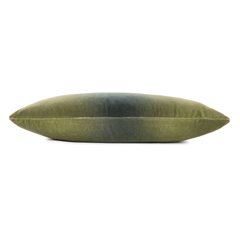 Matte Velvet Pillow Cover & Insert, Cactus, Rectangle 14"H x 20"W