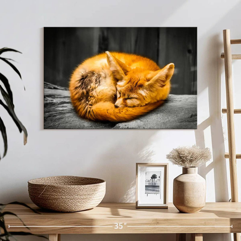 Brampt Fox Sleeping