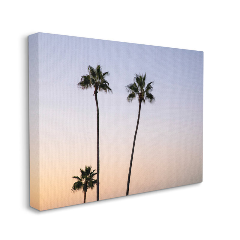 Photographie de Kathy Mansfield - photographie de palmiers tropicaux, Toile tendue, H 24 po x l 30 po x P 1,5 po