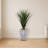 Spiked Agave Artificial Plant in Cement Planter