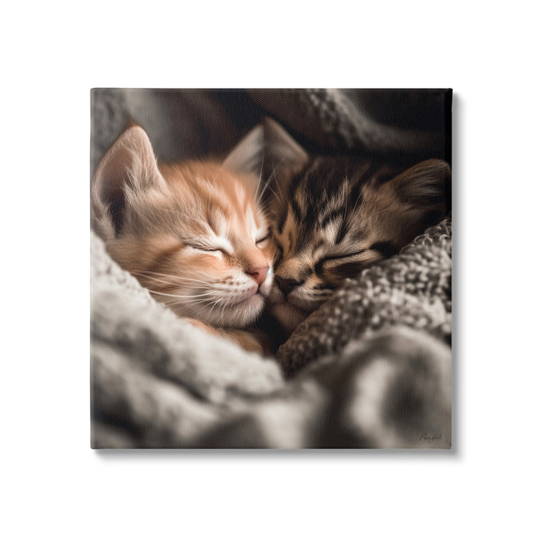 Portrait de chatons câlins par Roozbeh, H 30 po x l 30 po x P 1,5 po