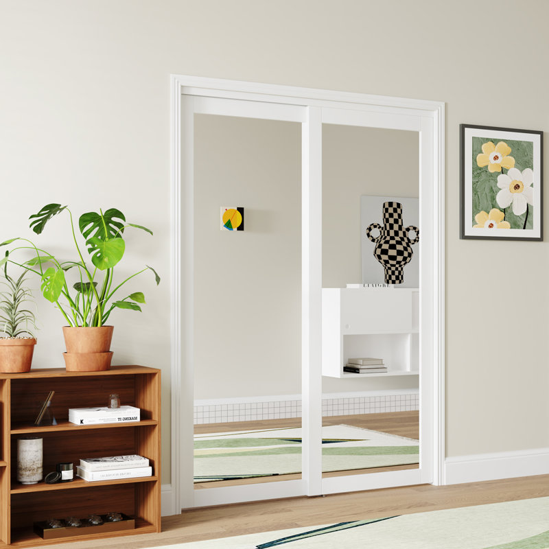 Porte de placard coulissante 1-Lite, 48 po x 80 po