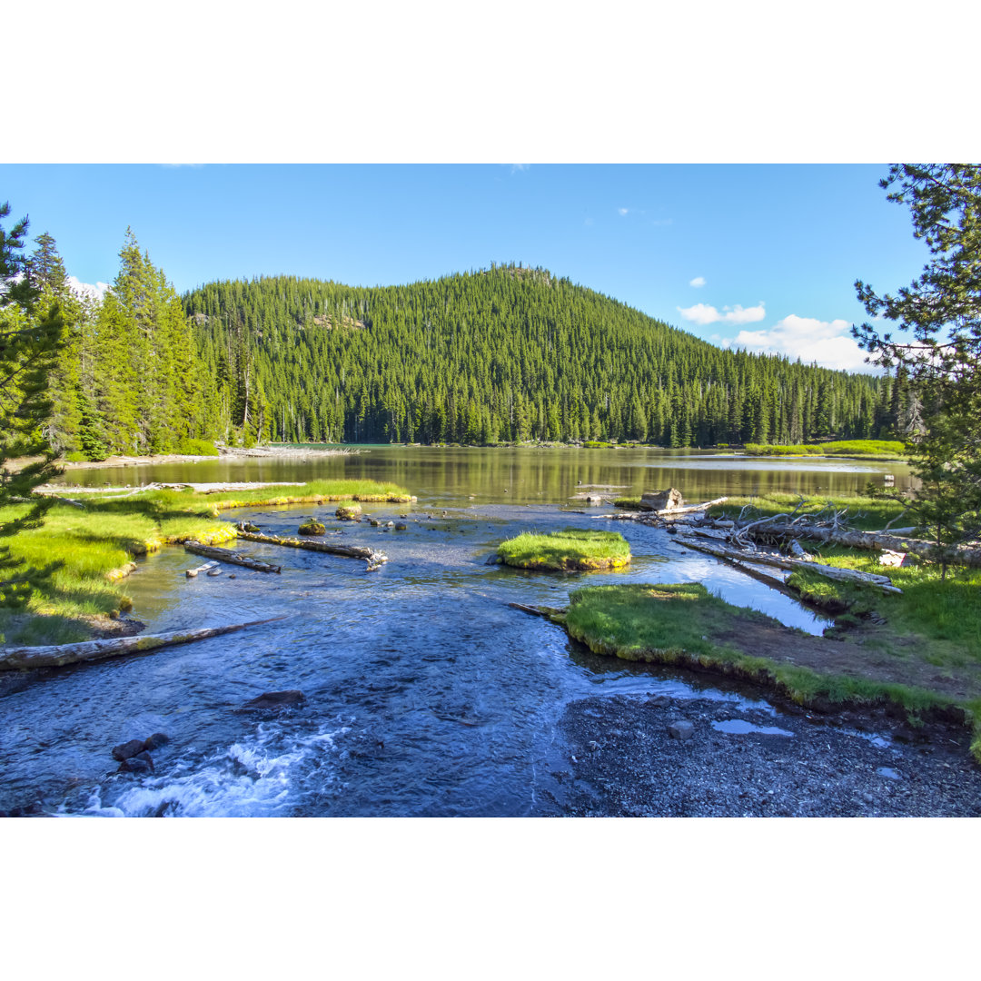 Lake, Forest, Hills von JamesBrey - Drucken