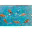 Koi Pond by John Beard - Artist Enhanced Canvas Print-41557057
