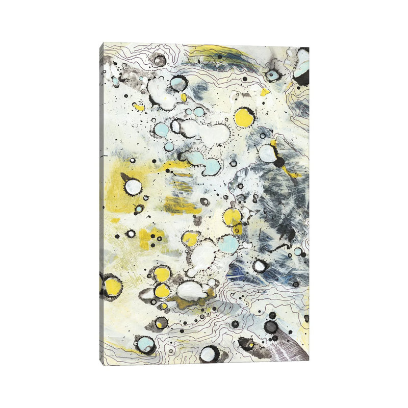 Topo II by Jodi Fuchs - 1 Piece Wrapped Canvas Painting, 152.5 cm H x 101.5 cm W