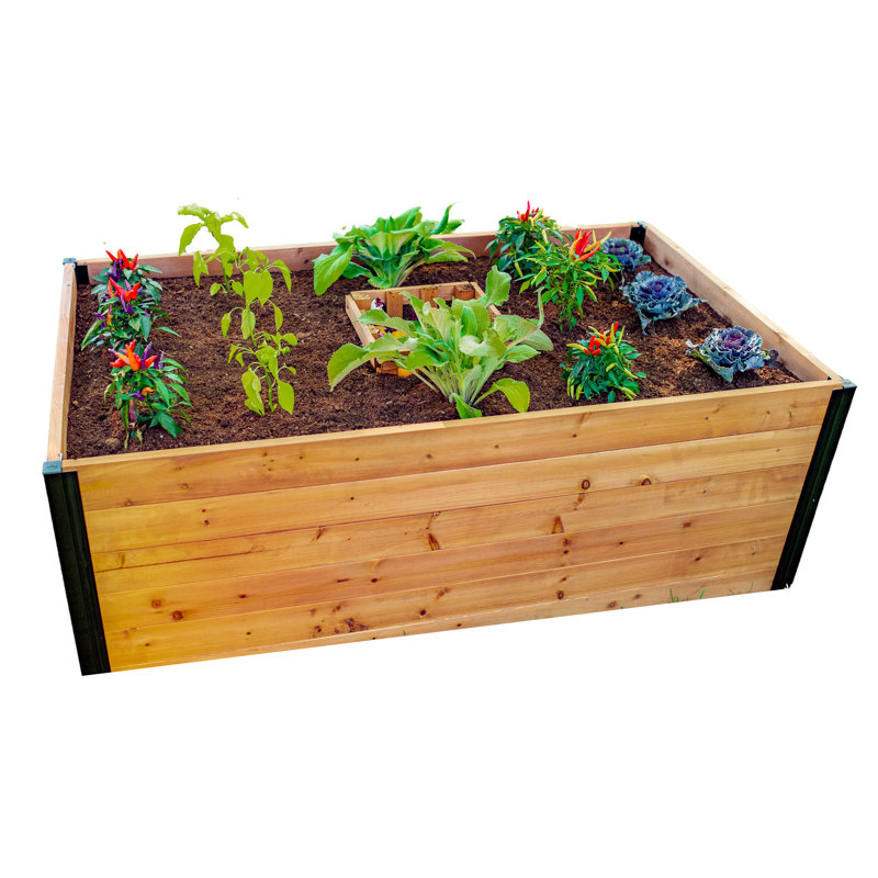 Lit de jardin surélevé en bois Mezza, H 60 po x l 36 po x P 22 po