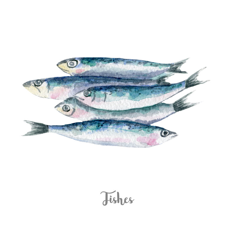 Fresh Fish Illustration by Yunaco - Wrapped Canvas Print, 51cm H x 51cm W