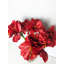Amaryllis arrangement dans un vase