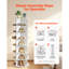 Shoe Rack-703626368-703626396