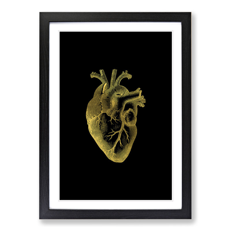 Black Gold Anatomical Heart - Picture Frame Graphic Art, 48cm H x 36cm W x 2cm D, Black