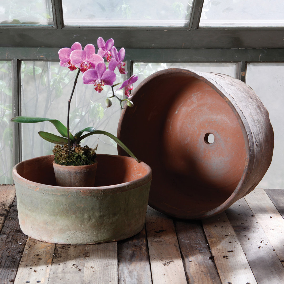 Bromford Grande Rustic Terracotta Pots Planter Set World Menagerie