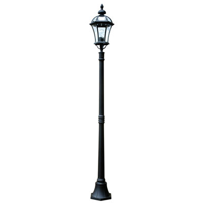Wechsler Transparent Lamp Post (Full)