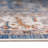 Oriental Indoor Rug-1560701069
