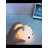 Rabbit Night Light Pat Light