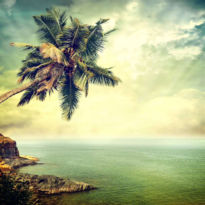 Background - Wrapped Canvas Print, 76cm H x 76cm W x 3.8cm D