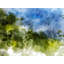 Abstract 2404 Print by Chamira Young-71199404-71199405